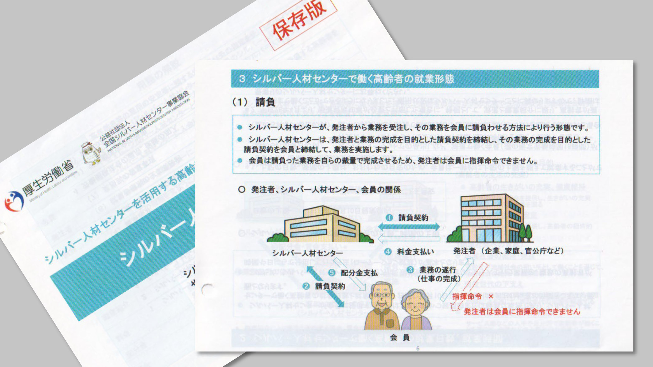 silver leaflet